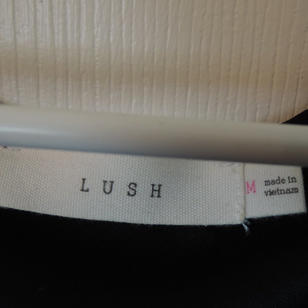 Lush Little Black Dress - Picture 2 of 2